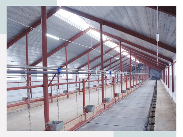 Строительство коровников в Павловском Посаде от 610 руб.