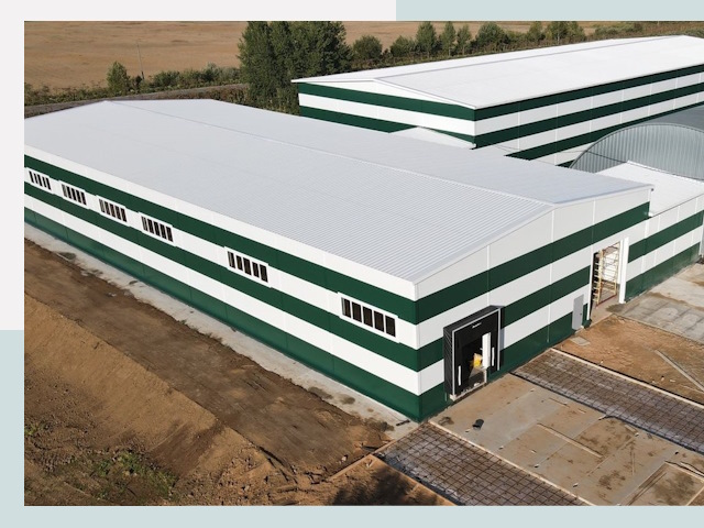 Строительство овощехранилищ в Павловском Посаде